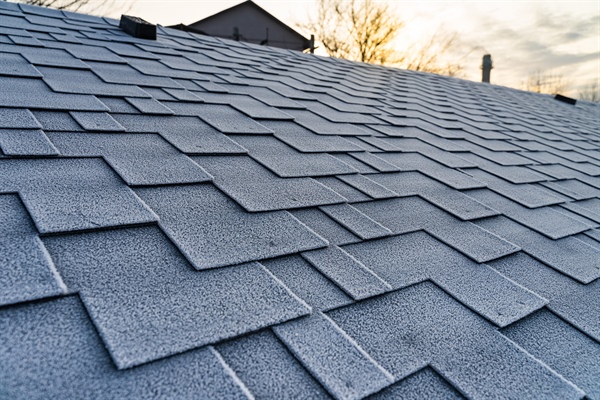 Asphalt vs Metal vs Flat Roofing: Wisconsin Guide