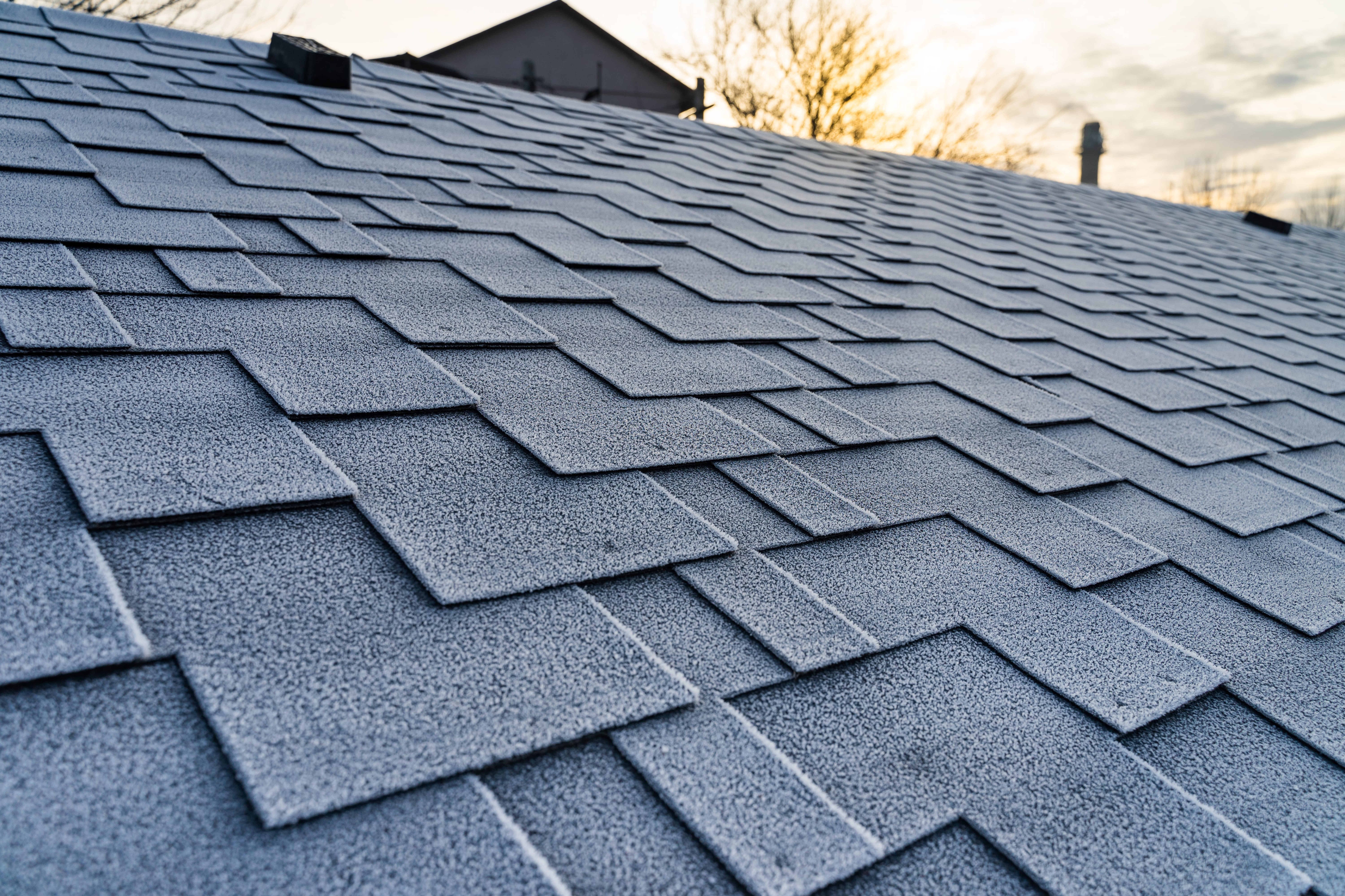 Asphalt vs Metal vs Flat Roofing: Wisconsin Guide Image